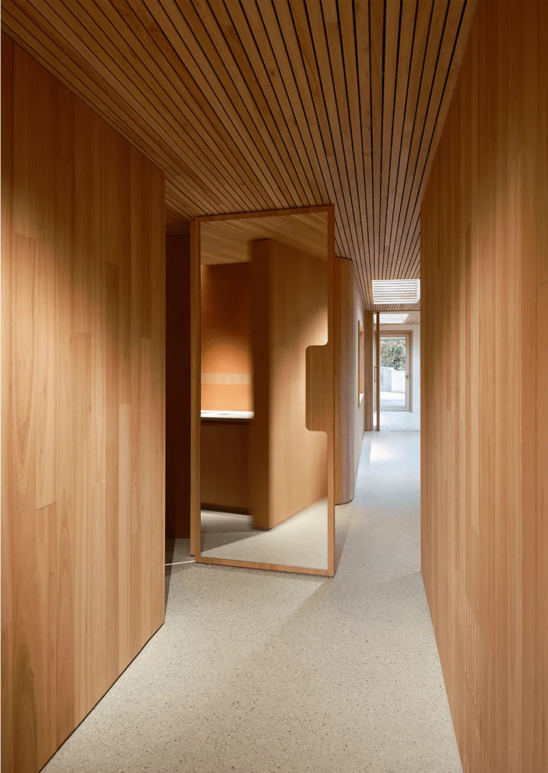 Best Pivot Door 2026